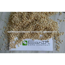 REGULAR NATURAL SESAME SEEDS